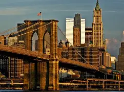 多诺万米切尔是布鲁克林人 多诺万米切尔是布鲁克林人