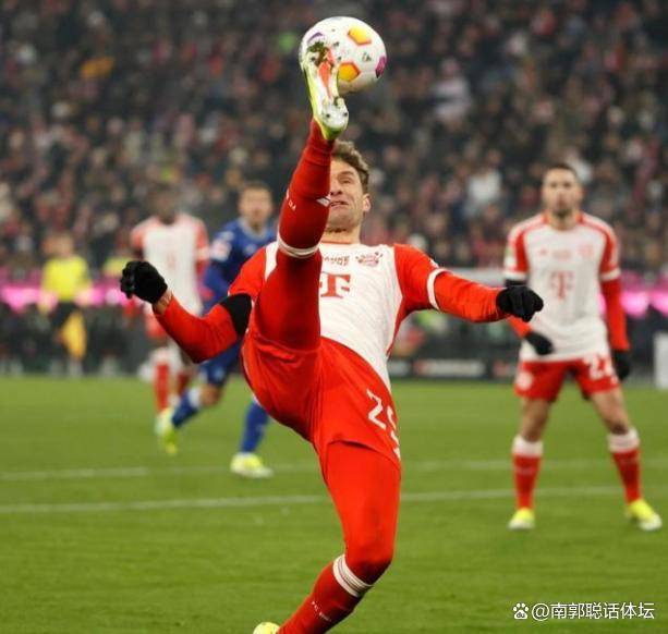 开云-俄罗斯比赛结果