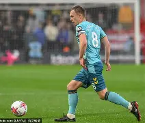 开云-南安普顿足球队官网