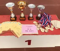 开云app在线下载-体育两大赛事